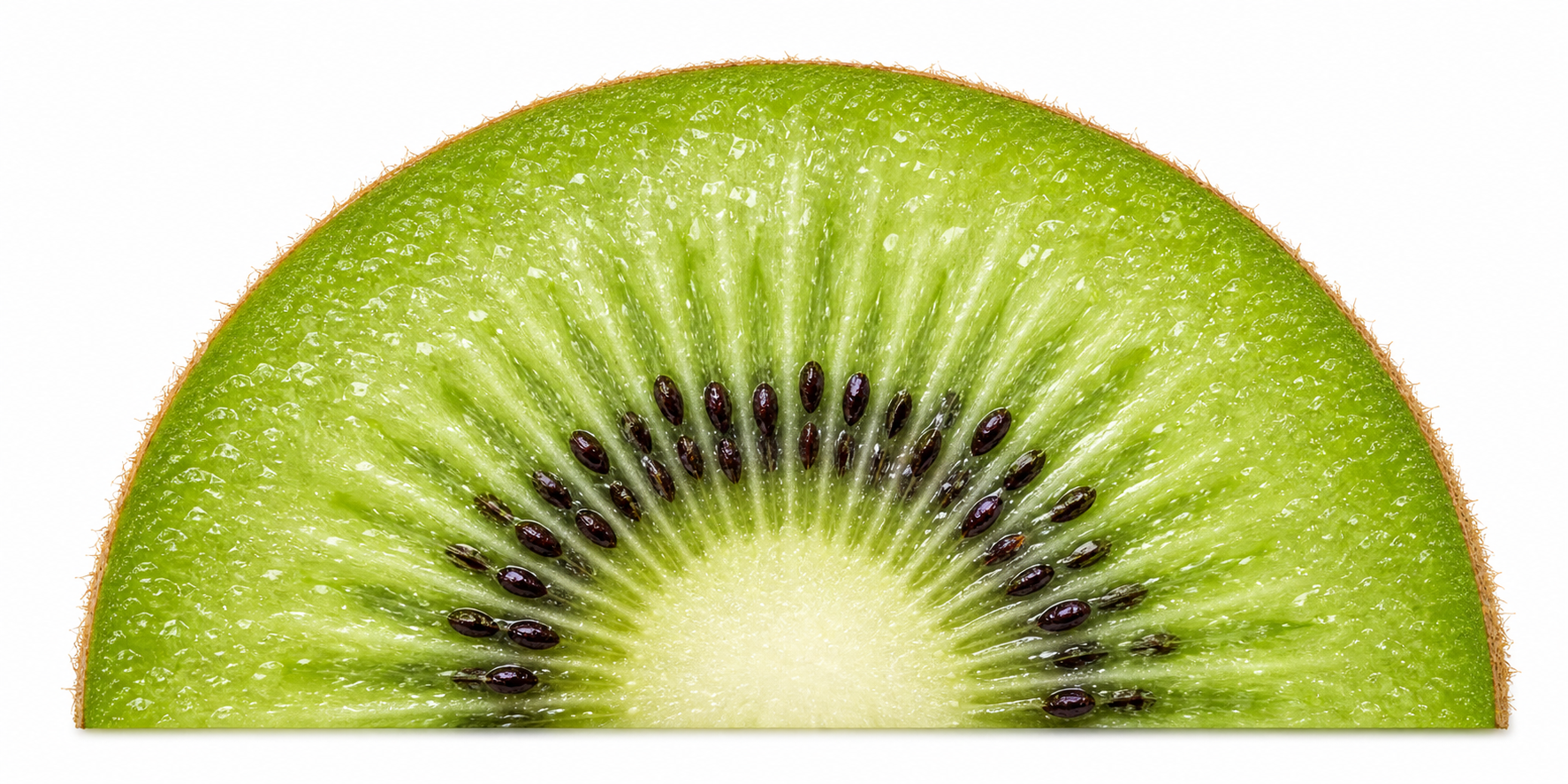 Realistic green kiwifruit cross section